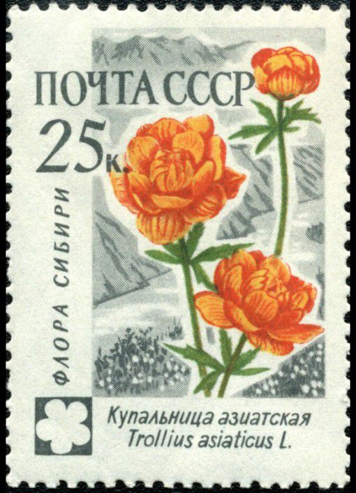 Советская марка с изображением купальницы азиатской
