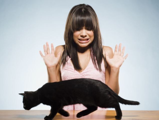 5.8 million people admit to being superstitious