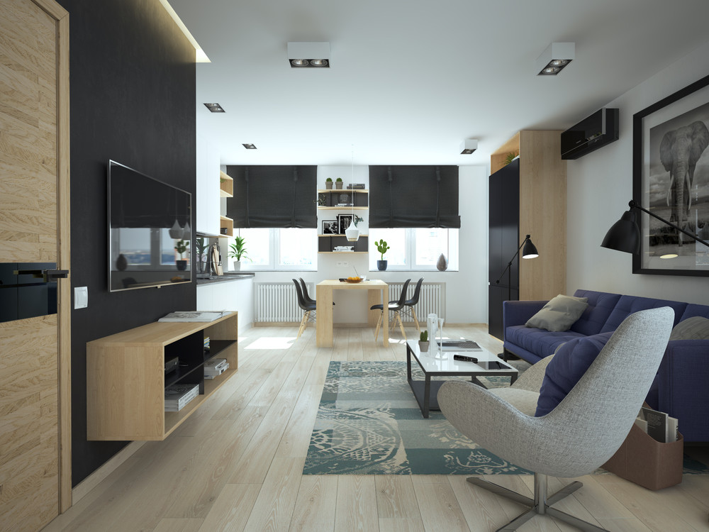 Интерьер маленькой квартиры в контрастных тонах - гостиная и столовая