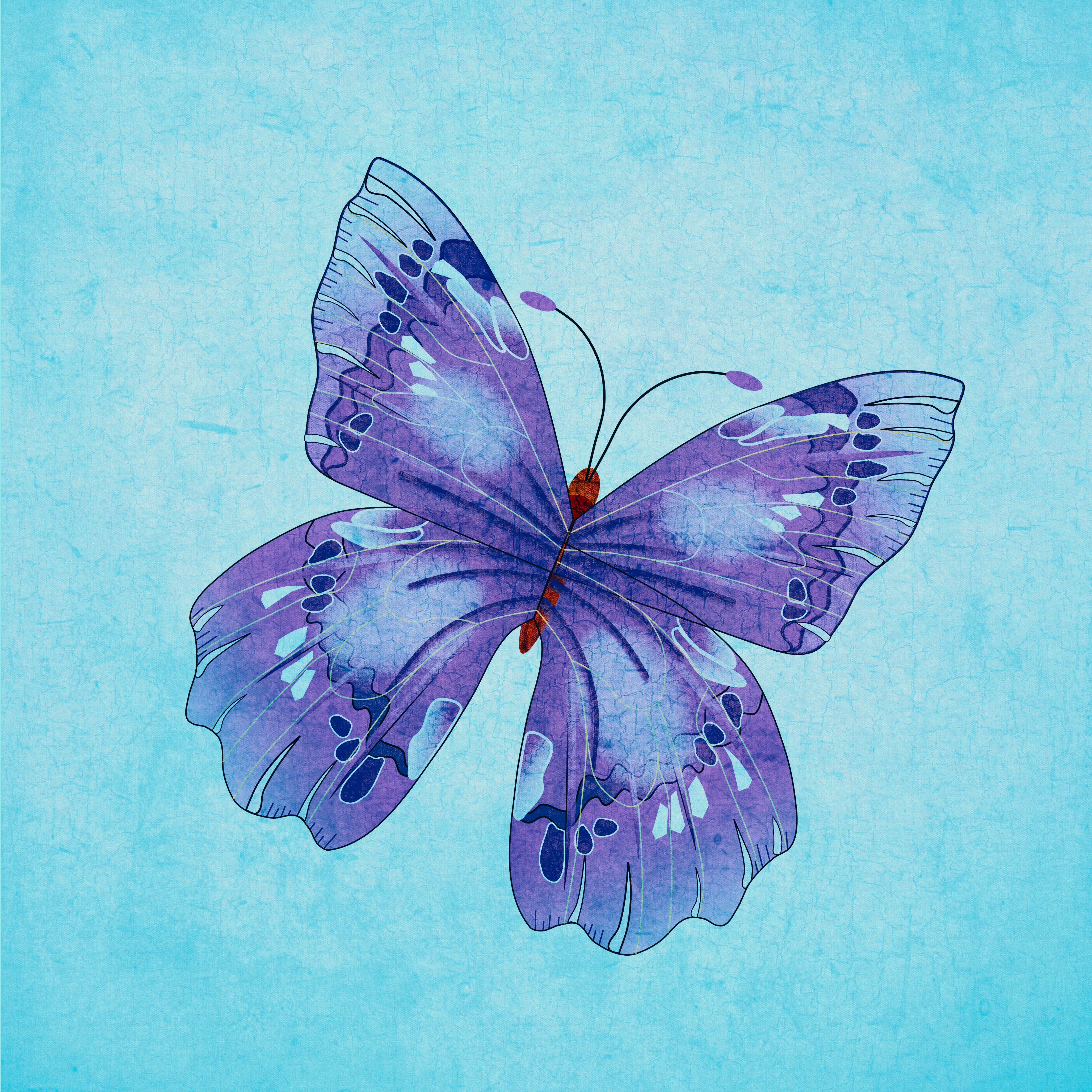 Бабочки фиолетового цвета. Бабочка рисунок. Фиолетовые рисунки. Сиреневые бабочки. Сиреневый рисунок.