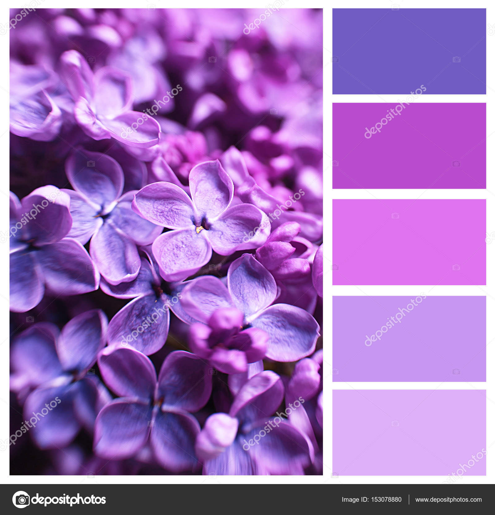 Камни лилового цвета фото и названия