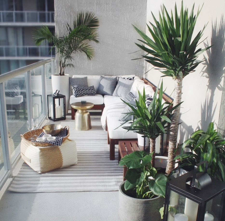 растения на балконе